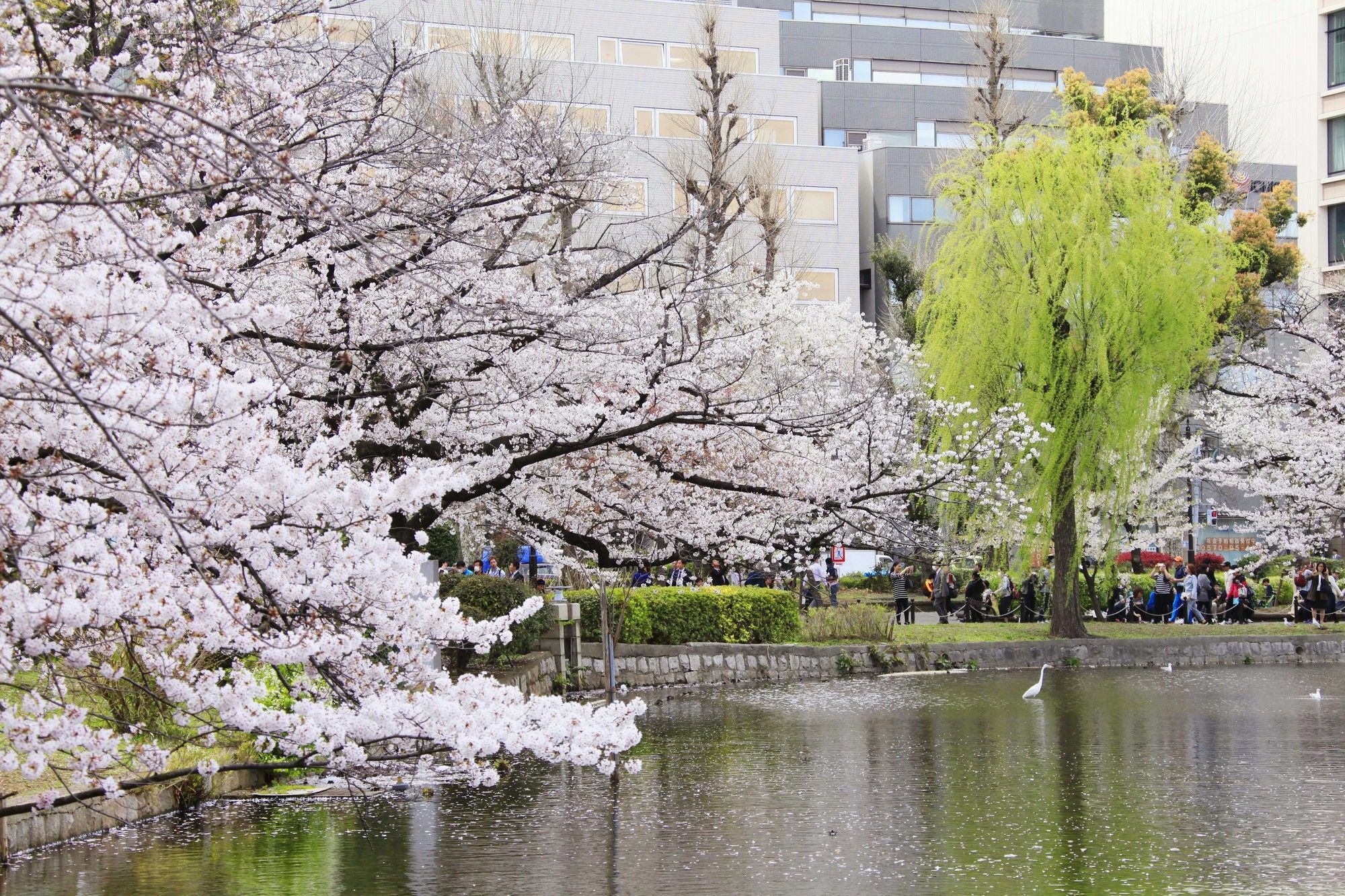 Centurion Hotel&Spa Ueno Station Tokio Zewnętrze zdjęcie